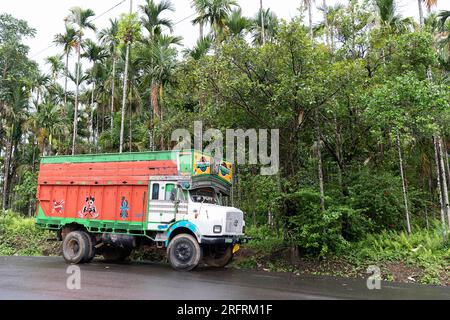 Typisch farbenfroher Lkw auf der Straße durch dichten Wald in Assam, Nordostindien Stockfoto