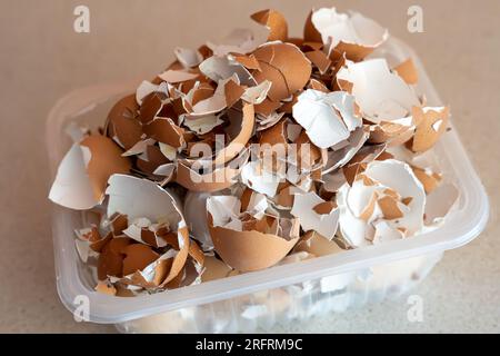 Tablett voll mit zerdrückten Eierschalen Stockfoto