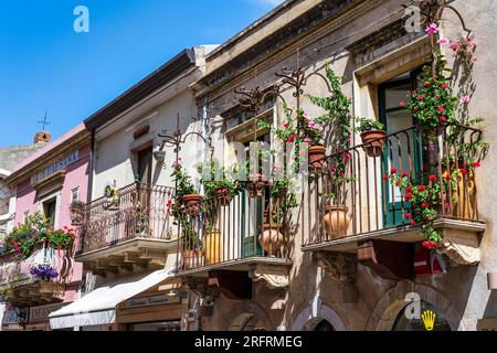 Pflanzen Sie Töpfe und Blumenausstellungen auf den Balkonen des Corso Umberto in Taormina, Sizilien, Italien Stockfoto