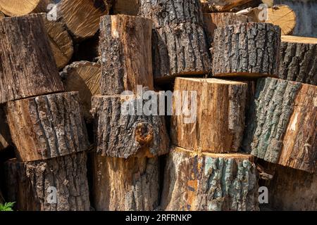 Ein Haufen großer runder Baumstämme vor dem Hacken von Feuerholz im Freien Stockfoto