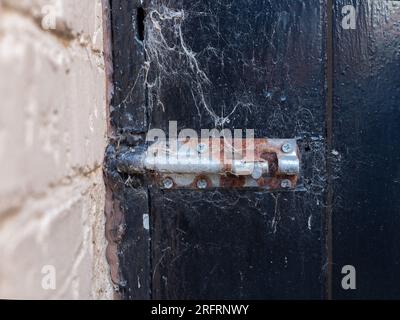 Metel-Schließbolzen an einer Holztür mit hängenden Spinnweben Stockfoto