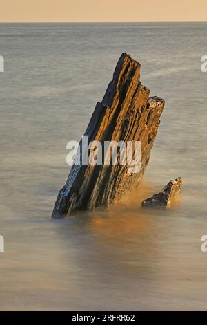 Küstenfelsen, die von Wellen bei aufsteigender Flut bei Sonnenuntergang gewaschen werden; Ayrmer Cove, bei Kingsbridge, an der Südküste von Devon, Großbritannien. Stockfoto