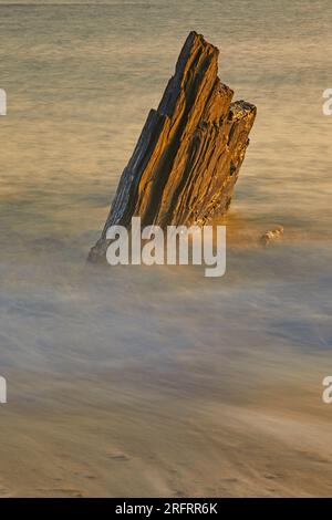 Küstenfelsen, die von Wellen bei aufsteigender Flut bei Sonnenuntergang gewaschen werden; Ayrmer Cove, bei Kingsbridge, an der Südküste von Devon, Großbritannien. Stockfoto