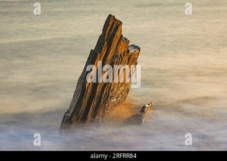 Küstenfelsen, die von Wellen bei aufsteigender Flut bei Sonnenuntergang gewaschen werden; Ayrmer Cove, bei Kingsbridge, an der Südküste von Devon, Großbritannien. Stockfoto