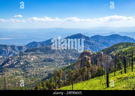 Der Meadow Trail bietet einen Blick auf Tucson im August, Mount Lemmon, Santa Catalina Mountains, Coronado National Forest, Summerhaven, Arizona, USA. (PHO Stockfoto