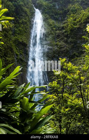 Waimoku-Wasserfälle und tropische Vegetation auf Maui Island Stockfoto