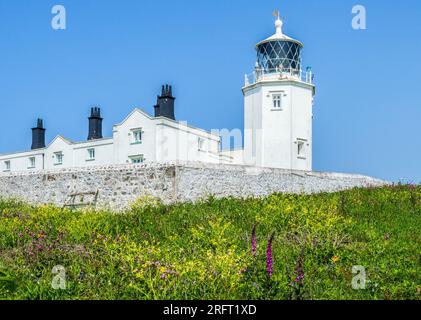 Der Leuchtturm am Lizard Point, Cornwall, der südlichste Punkt des britischen Festlands. Stockfoto