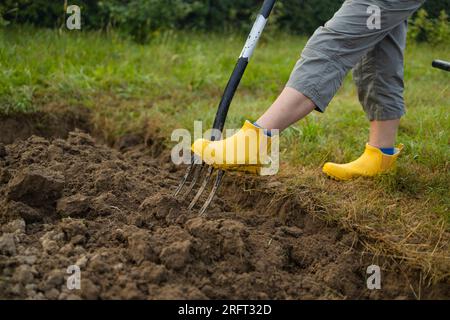 Landwirt, der mit Handwerkzeugen Land im Garten anbaut. Bodenlockerung. Gartenkonzept. Rechen und Spaten auf gelöstem Boden. Landwirtschaftliche Arbeiten Stockfoto