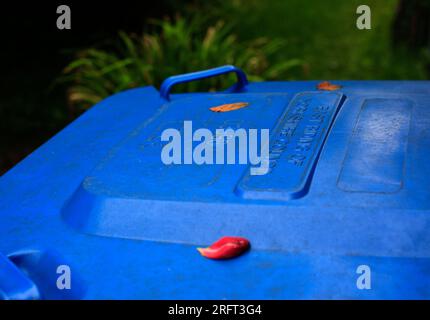 Nachhaltigkeit, recyceln Blue Mixed Recyclingbehälter in Garden, East Riding of Yorkshire UK Stockfoto