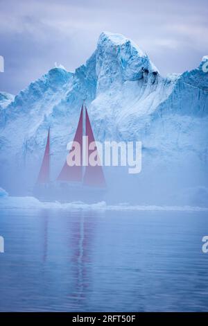 Rote Segel entlang des Ilulissat Ice Fjord nördlich des Polarkreises, Disko Bay, Grönland Stockfoto