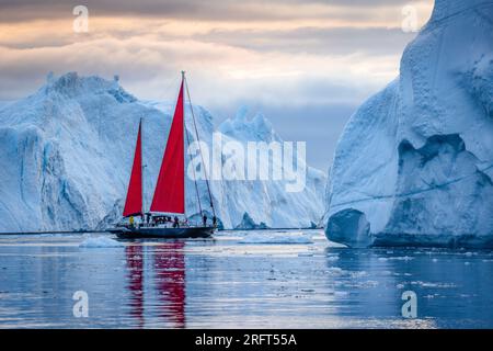 Rote Segel entlang des Ilulissat Ice Fjord nördlich des Polarkreises, Disko Bay, Grönland Stockfoto