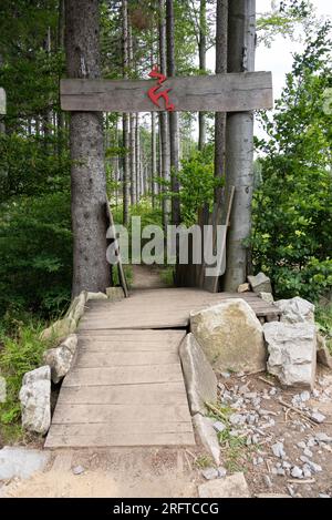 Rychlebske Stezky, Rychleby Versuche in Tschechien super Flow Trail Stockfoto