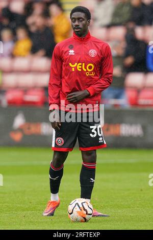 Sheffield, Großbritannien. 05. Aug. 2023. Beim Sheffield United FC vs VfB Stuttgart FC Pre-Season Friendly Match in Bramall Lane, Sheffield, Großbritannien am 5. August 2023 Credit: Every second Media/Alamy Live News Stockfoto