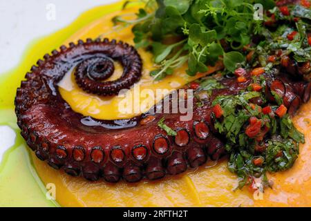 Gegrillte Kraken-Tentakel, in Soße und mit Kräutern. Schließen Stockfoto