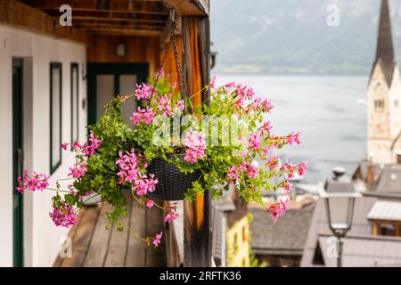 ÖSTERREICH, HALLSTATT - 21. Juli 2023: Altstadt am See Stockfoto
