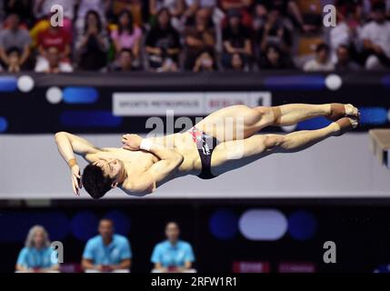 Berlin, Deutschland. 5. Aug. 2023. Wang Zongyuan aus China tritt beim Springboard-Finale der Männer 3m beim World Aquatics Diving World Cup 2023 Super Final in Berlin, Deutschland, am 5. August 2023 an. Kredit: Ren Pengfei/Xinhua/Alamy Live News Stockfoto