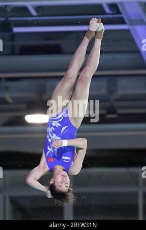 Berlin, Deutschland. 5. Aug. 2023. Quan Hongchan aus China tritt beim 10m-Turnier der Frauen beim World Aquatics Diving World Cup 2023 Super Final am 5. August 2023 in Berlin an. Kredit: Ren Pengfei/Xinhua/Alamy Live News Stockfoto