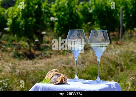 Gläser Weißwein aus Weinbergen der Pouilly-Fume Appelation und Beispiel für Kieselsteinboden in der Nähe von Pouilly-sur-Loire, Burgund, Frankreich. Stockfoto