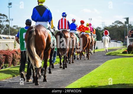 Pferde und Jockeys, die vor dem Rennen auf der Koppel parken Stockfoto