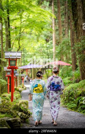 Rückansicht von zwei Frauen mit japanischem Yukata-Sommerkimono und japanischem traditionellen Ölpapierschirm, die in der Natur des Kifune-Schreins spazieren Stockfoto