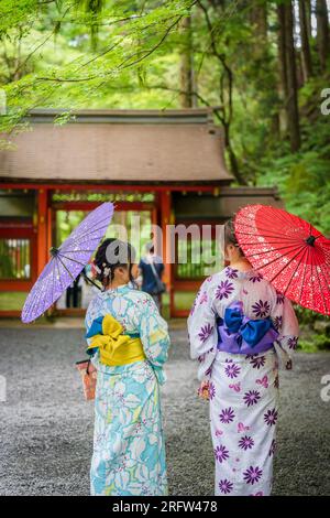 Rückansicht von zwei Frauen, die japanische Yukata-Sommerkimono tragen und einen traditionellen japanischen Ölpapierschirm im Naturwaldtor des Kifune-Schreins halten Stockfoto