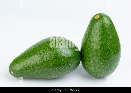 Zwei grüne frische Avocados Makro Nahaufnahme isoliert auf weißem Studiohintergrund Stockfoto