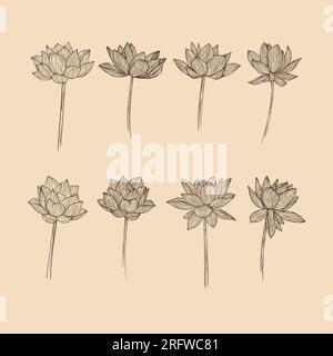 Vektordarstellung der Lotus-Blumensammlung mit Strichgrafiken einstellen Stock Vektor