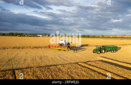 Im Sommer Gerstenernte bei Ripon, North Yorkshire, Großbritannien. Stockfoto