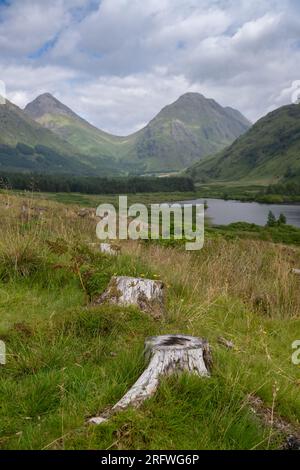 Glen Etive in den schottischen Highlands von Lochan Urr aus mit Blick auf Stob Dubh und Stob Na Brogie. Scottish Highlands, Schottland, Großbritannien. Stockfoto