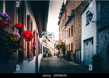 Eltville am Rhein, wunderschönes historisches Dorf in Deutschland direkt am Fluss und wunderschön im Sonnenaufgang gepflanzt Stockfoto