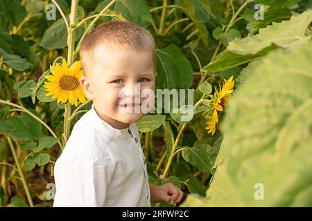 Ein Junge in Sonnenblumen. Porträt eines kleinen, glücklichen und schönen Kindes, in einem weißen Hemd, 4 Jahre alt, im Sommer auf einem Feld mit gelben Sonnenblumen. Nahaufnahme. Stockfoto