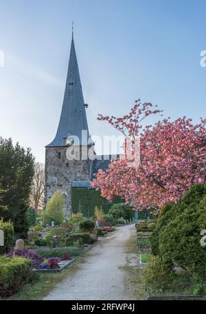 St. Mary's Church in Soerup, Schleswig-Holstein im Frühling Stockfoto