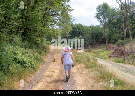 Erwachsene Frau, die mit ihrem Hund auf dem Wanderweg Wallfhärte Weidingen wandert, grüne Bäume, trockenes gelbes Gras, Freizeitkleidung, Shorts und Hut mit rosa o Stockfoto