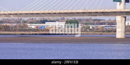 Wigg Island, Widnes - mit Blick auf den Fluss Mersey und die Mersey Gateway Bridge Stockfoto