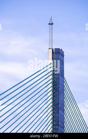Wigg Island, Widnes - mit Blick auf den Fluss Mersey und die Mersey Gateway Bridge Stockfoto