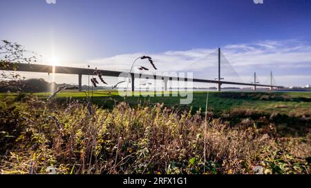 Wigg Island, Widnes - mit Blick auf den Fluss Mersey und die Mersey Gateway Bridge Stockfoto