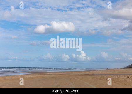 Fraser Island K'gari 75 Meilen Strand und kleine leichte Flugzeuge fliegen über die Sandstraße und Ozean Touristenausflüge, Queensland, Australien Stockfoto