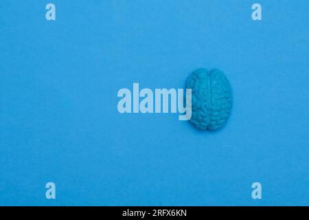 Blaues Gehirn auf blauem Hintergrund. Horizontales medizinisches Themenposter, Grußkarten, Kopfzeilen, Website und App Stockfoto