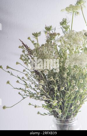 Strauß weißer Blumen auf weißem Hintergrund. Wilde Karotte und Schafgarbe. Einfache Sommerblume. Naturflora ästhetisch. Blütenknospe. Blumig botanisch. Minimalistischer Style. Stockfoto