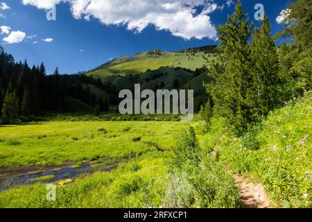 Der Game Creek Trail schlängelt sich vorbei an Biberteichen am Game Creek in den Lower Gros Ventre Mountains. Bridger-Teton National Forest, Wyoming Stockfoto