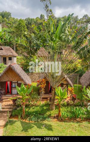 Andasibe, Madagaskar - Mai 26,2023: Wunderschöne strohgedeckte Dschungeldachhäuser im Andasibe-Nationalpark, Madagaskar, vertikal Stockfoto