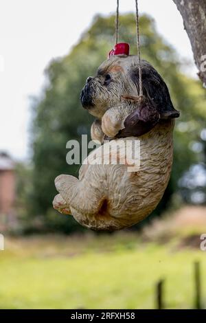 Barshaw RHS BEAN TRIALS Flowers & Pet Memoreial Garden 2023 Stockfoto