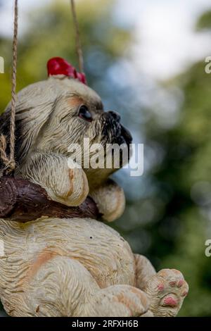 Barshaw RHS BEAN TRIALS Flowers & Pet Memoreial Garden 2023 Stockfoto