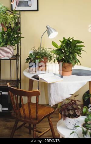 Lesestätte in der Nähe von Zimmerpflanzen. Grüne Entspannungszone im Zimmer mit offenem Buch und Topfblumen. Niemand. Boho-Stil. Umweltfreundliches Design in einem gemütlichen Haus. Stockfoto