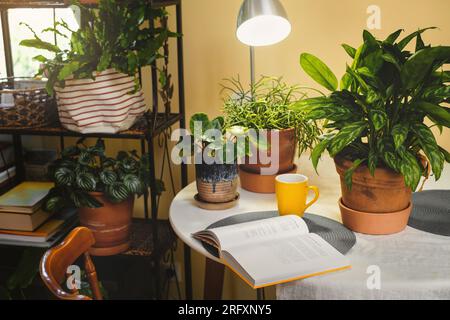 Lesestätte in der Nähe von Zimmerpflanzen. Grüne Entspannungszone im Zimmer mit offenem Buch und Topfblumen. Niemand. Boho-Stil. Umweltfreundliches Design in einem gemütlichen Haus. Stockfoto