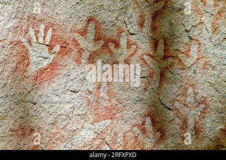 3500 Jahre alte Gemälde der Aborigines im Carnarvon National Park „The Gallery“, Queenslandf, Australien. Stockfoto