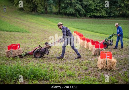 Braunsbach Steinkirchen, Deutschland. 06. Aug. 2023. Teilnehmer der Mountain Mower World Cup laufen mit ihren Bergmähern über einen Teil der Rennstrecke. Die roten Kästchen enthalten Wasser – das Ziel auf diesem Teil der Strecke ist es, den Heuballen mit dem roten Kästchen aufzunehmen und unterwegs so wenig Wasser wie möglich zu verschütten. Kredit: Christoph Schmidt/dpa/Alamy Live News Stockfoto