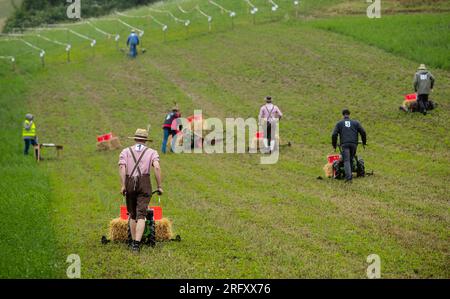 Braunsbach Steinkirchen, Deutschland. 06. Aug. 2023. Teilnehmer der Mountain Mower World Cup laufen mit ihren Bergmähern über einen Teil der Rennstrecke. Die roten Kästchen enthalten Wasser – das Ziel auf diesem Teil der Strecke ist es, den Heuballen mit dem roten Kästchen aufzunehmen und unterwegs so wenig Wasser wie möglich zu verschütten. Kredit: Christoph Schmidt/dpa/Alamy Live News Stockfoto