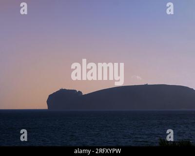 Alghero, Sardinien, Italien. Die Vorgewende von Capo Caccia Stockfoto