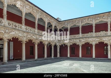 Palast der Herzöge des Infantados im elisabethanischen gotischen Stil mit Renaissance-Elementen in der Stadt Guadalajara, Castilla la Mancha, Spanien. Stockfoto